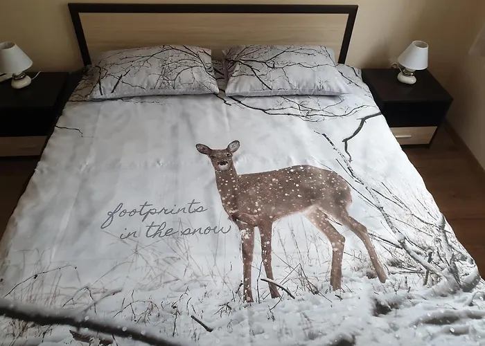 アパート Cosy - Centre ブラゴエヴグラト